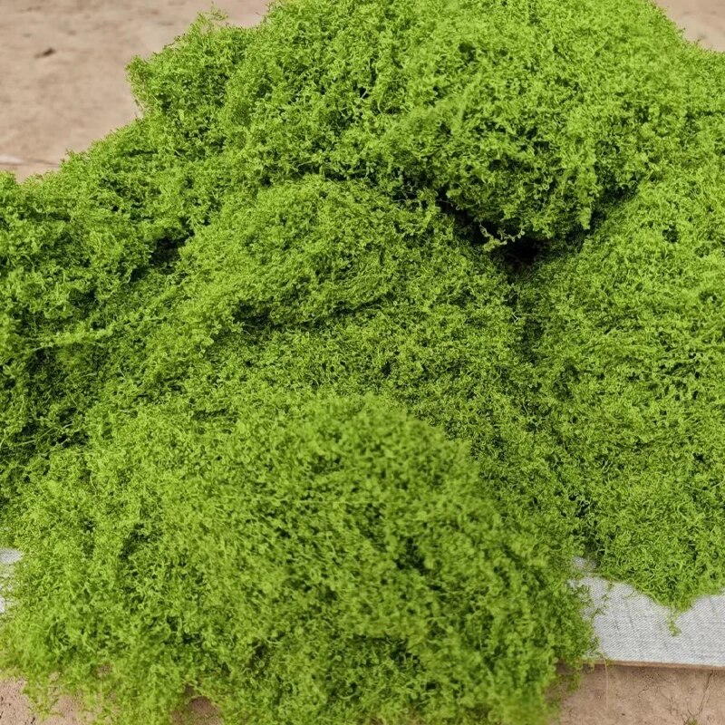 Sphagnum Moss Dry - 30g Fake Moss Artificial Green Moss