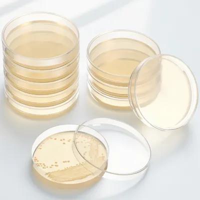 Agar Tissue Culture - 20Pcs Pre-Poured Agar Plates Nutrient Agar