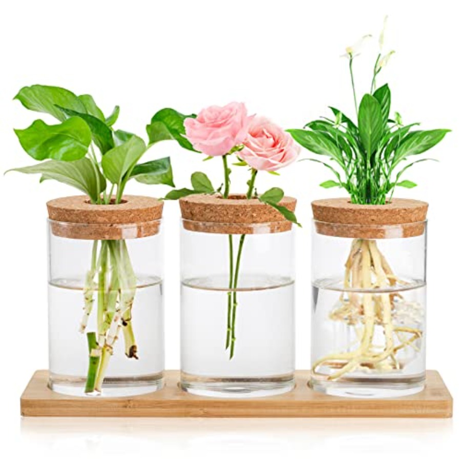 3 Pcs Plant Terrarium Propagat – Propagation Station Vase recenzja i cena