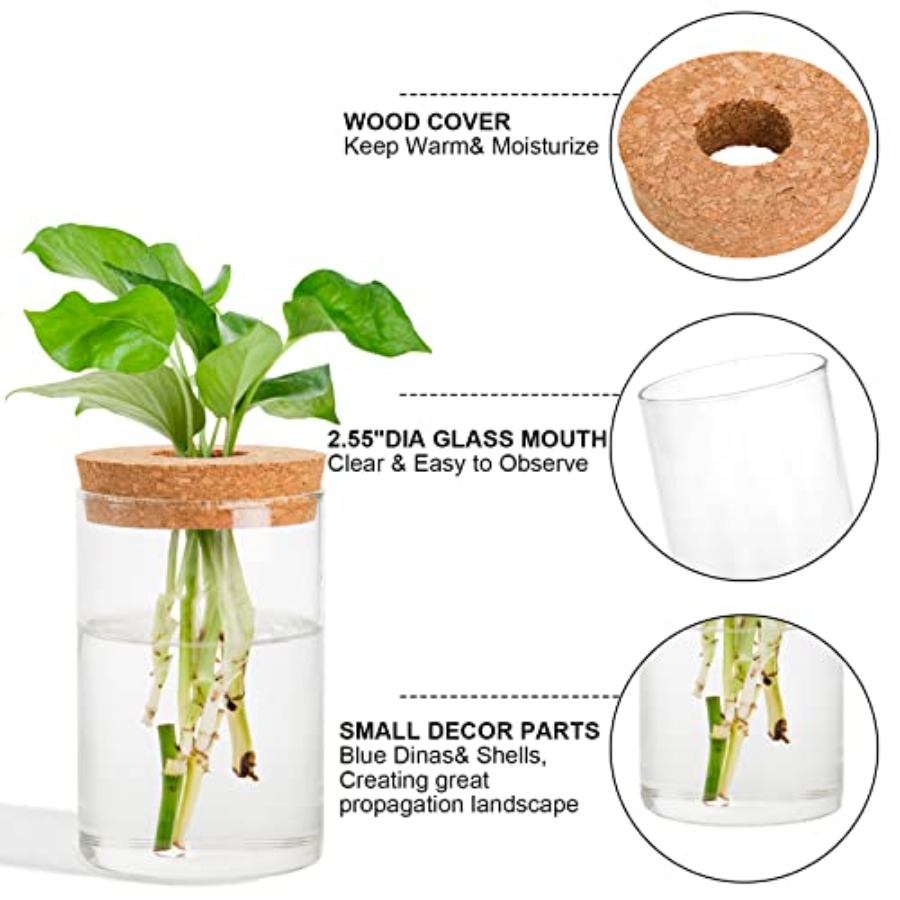 3 Pcs Plant Terrarium Propagat – Propagation Station Vase recenzja i cena