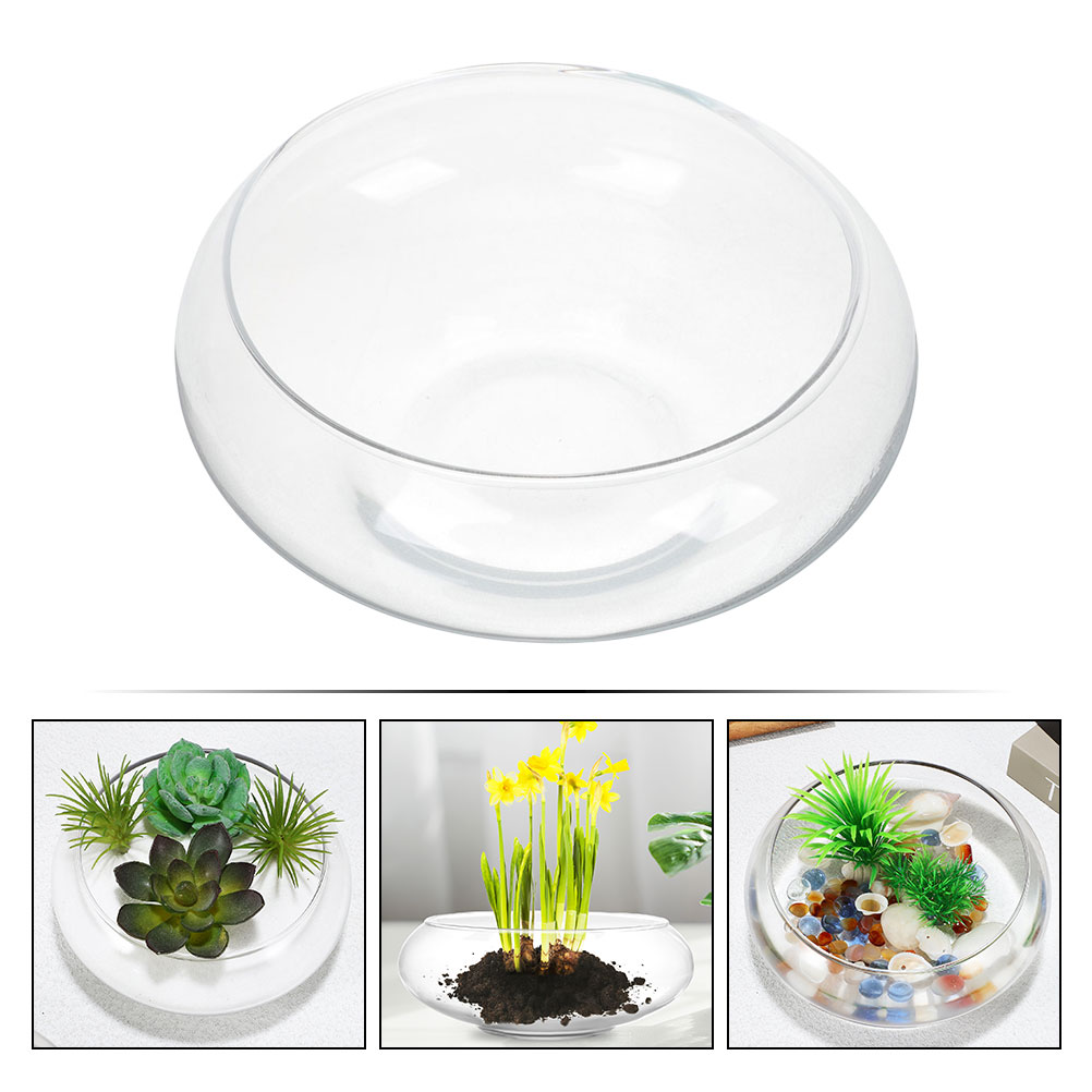Wide Mouth Glass Vase Narcissu – Propagation Station Vase recenzja i cena