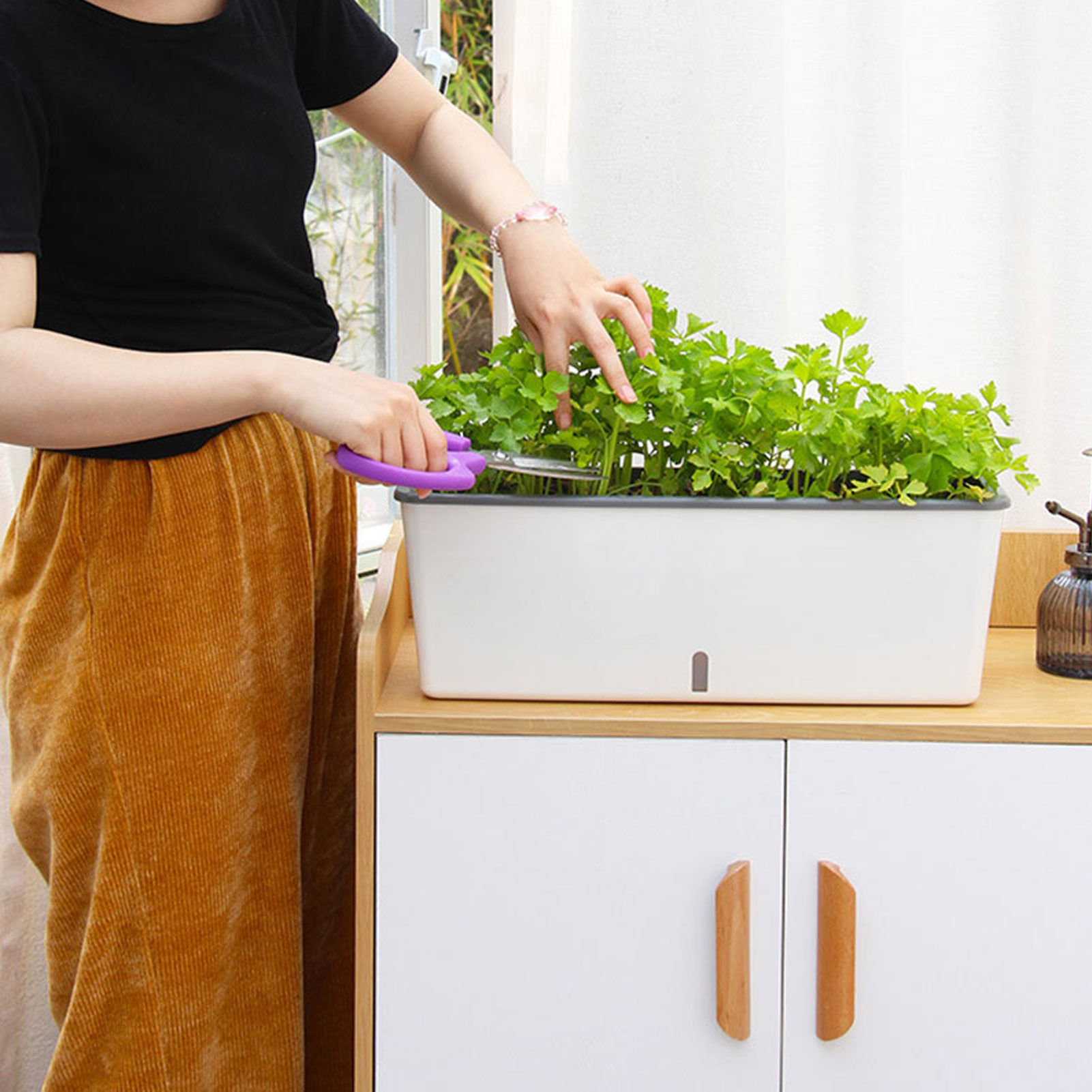 Self-Watering Planter Pots wit – Self Watering Insert recenzja i cena