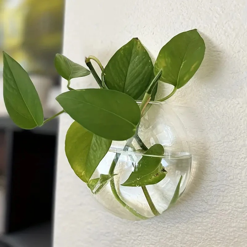 Glass Wall-Mounted Plant Green – Propagation Station Vase recenzja i cena