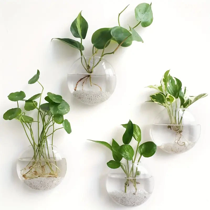 Glass Wall-Mounted Plant Green – Propagation Station Vase recenzja i cena
