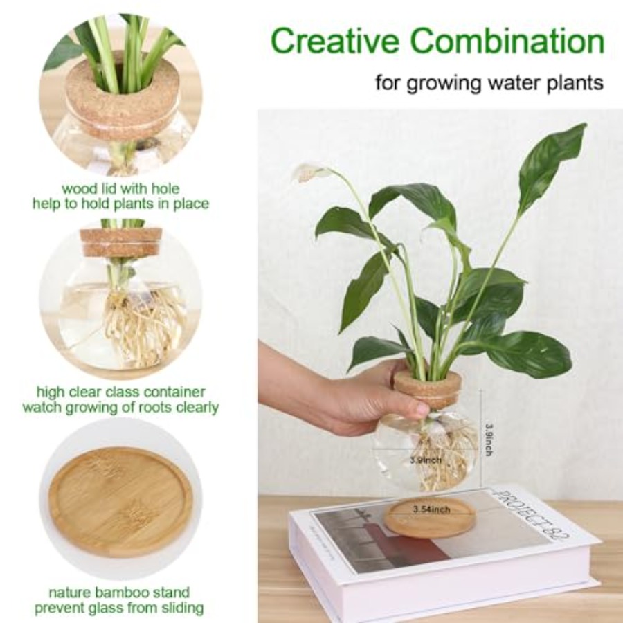 Plant Propagation Station, Hyd – Propagation Station Vase recenzja i cena