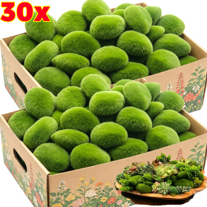 5/30pcs Simulation Moss Stone  – Sphagnum Moss Dry recenzja i cena