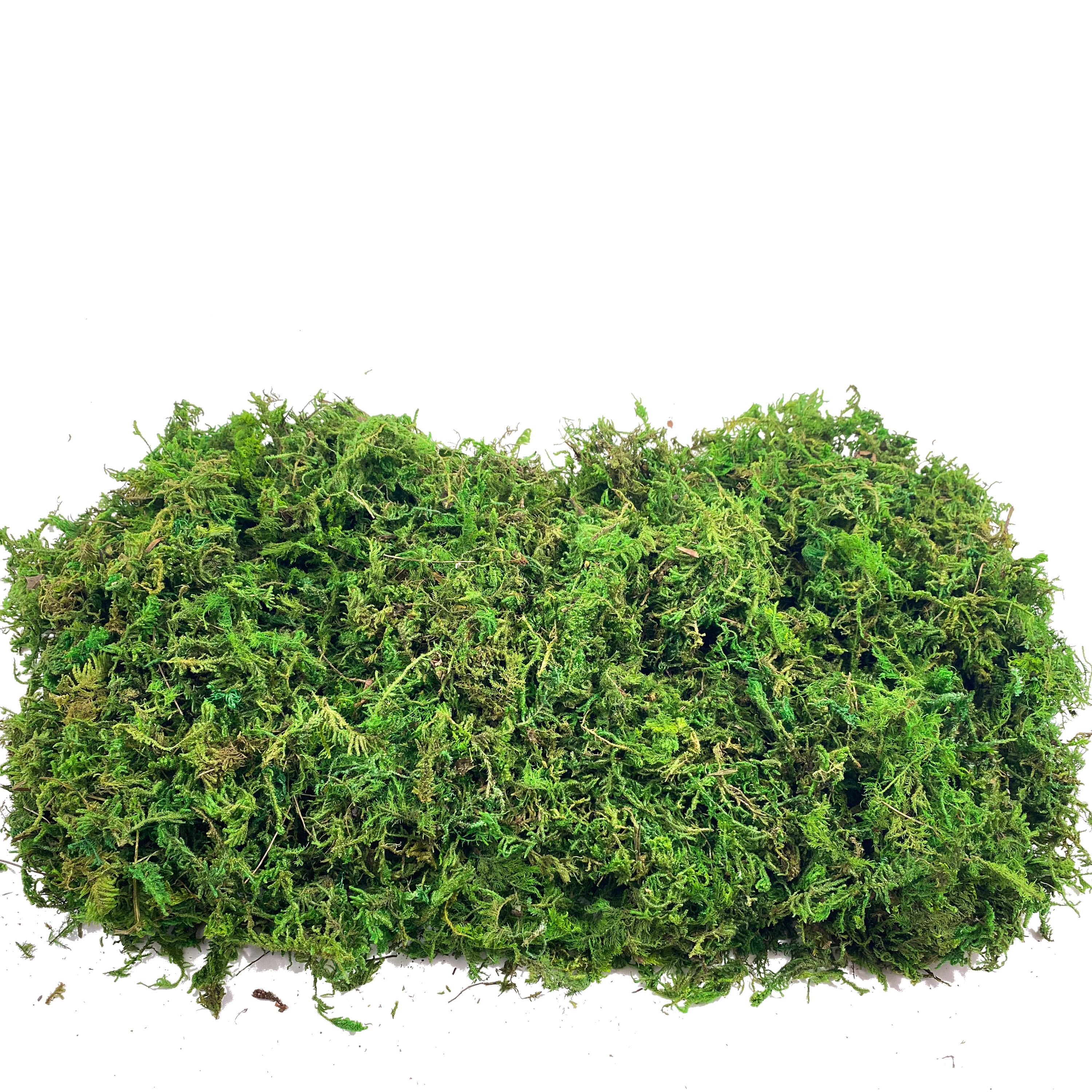 Artificial Fake Moss, Craft Mo – Sphagnum Moss Dry recenzja i cena