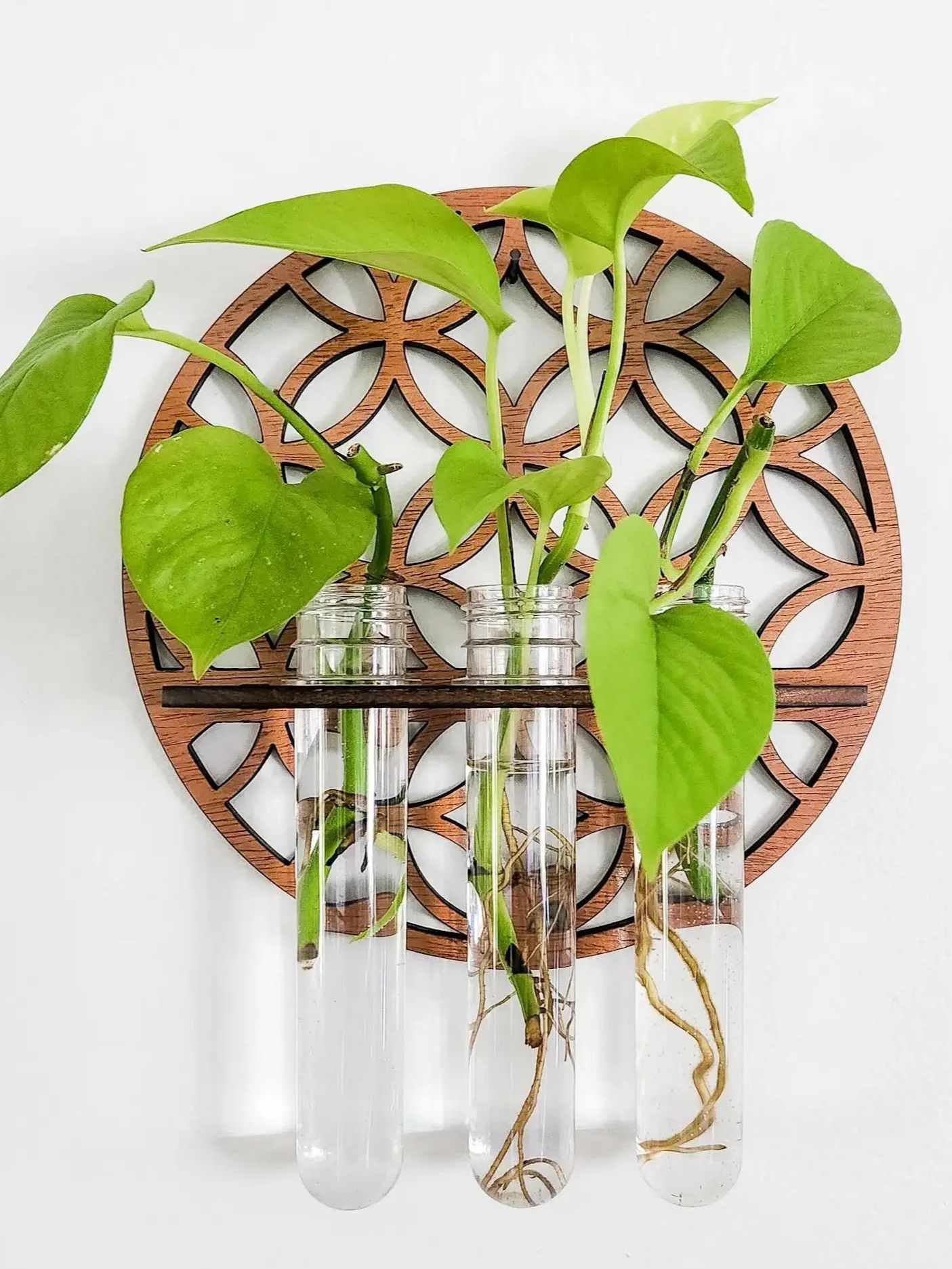 Garden Wall Planters Indoor Wo – Propagation Station Vase recenzja i cena