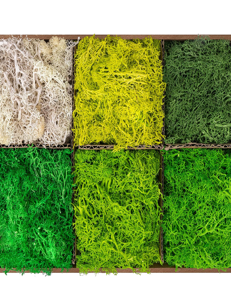 Eternal Life Moss Artificial G – Sphagnum Moss Dry recenzja i cena