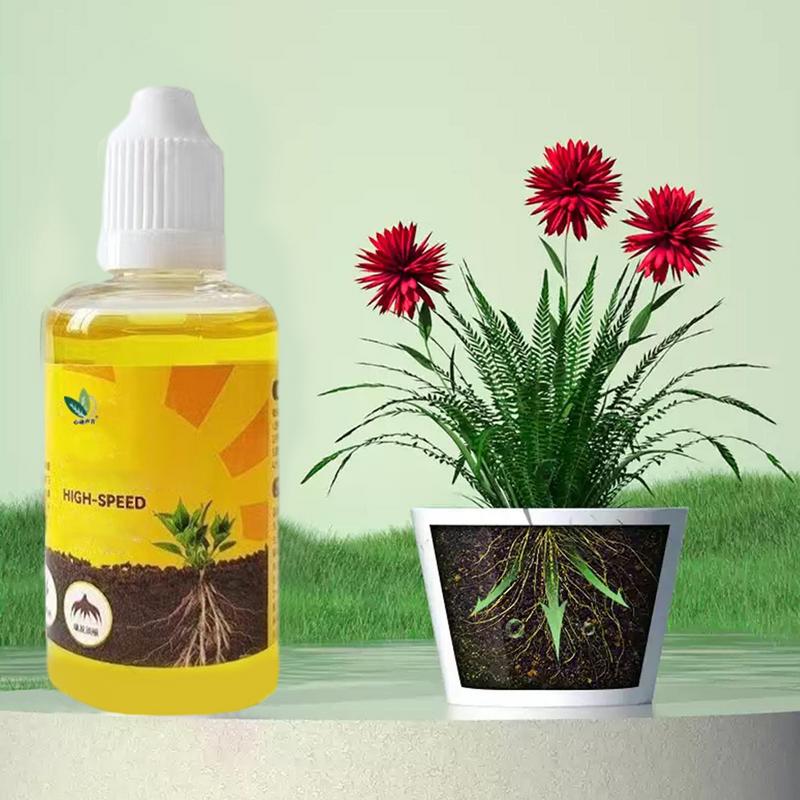 50ml Plant Root Stimulator Liq – Root Stimulator Liquid recenzja i cena