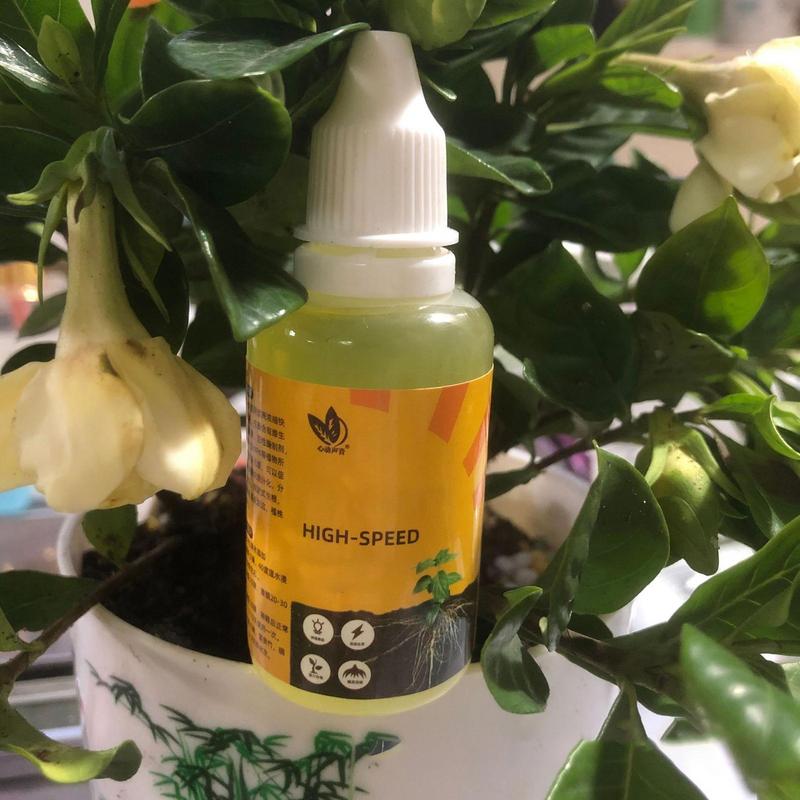 50ml Plant Root Stimulator Liq – Root Stimulator Liquid recenzja i cena