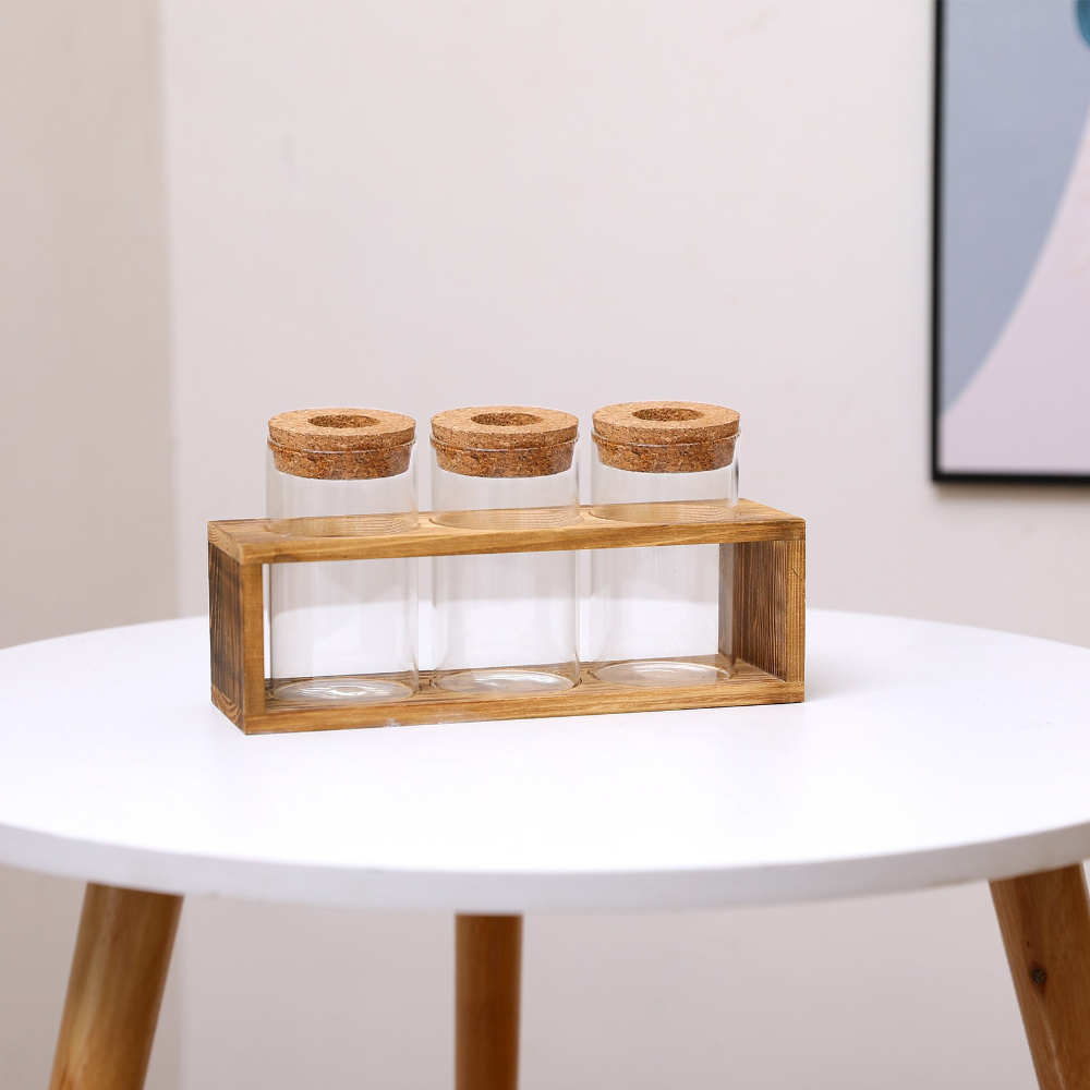 Nordic Hydroponic Plant Vase C – Propagation Station Vase recenzja i cena