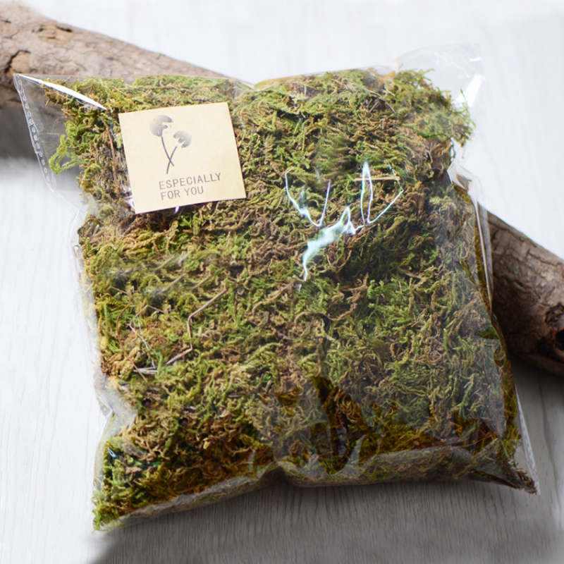 100g High Quality Artificial M – Sphagnum Moss Dry recenzja i cena