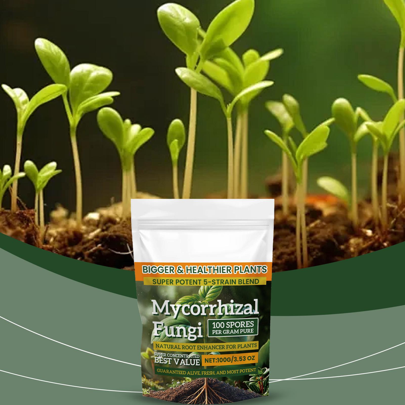 100g Plant Nutrient Powder Pla – Rooting Hormone Powder recenzja i cena