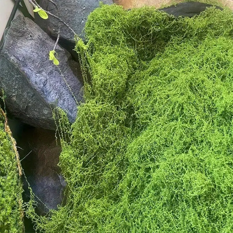 Lifelike Artificial Moss for D – Sphagnum Moss Dry recenzja i cena