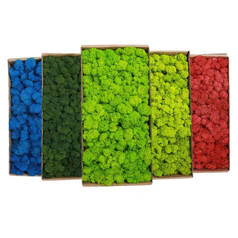 20-200g Artificial Green Plant – Sphagnum Moss Dry recenzja i cena