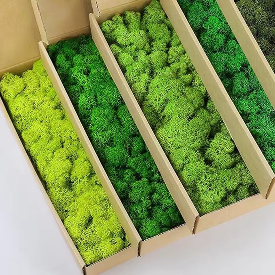 20-200g Artificial Green Plant – Sphagnum Moss Dry recenzja i cena