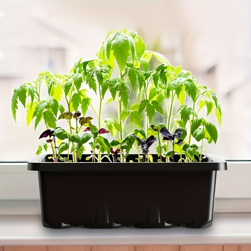 Seedling Starter Kit 1/2/3 Set – Humidity Dome Kit recenzja i cena