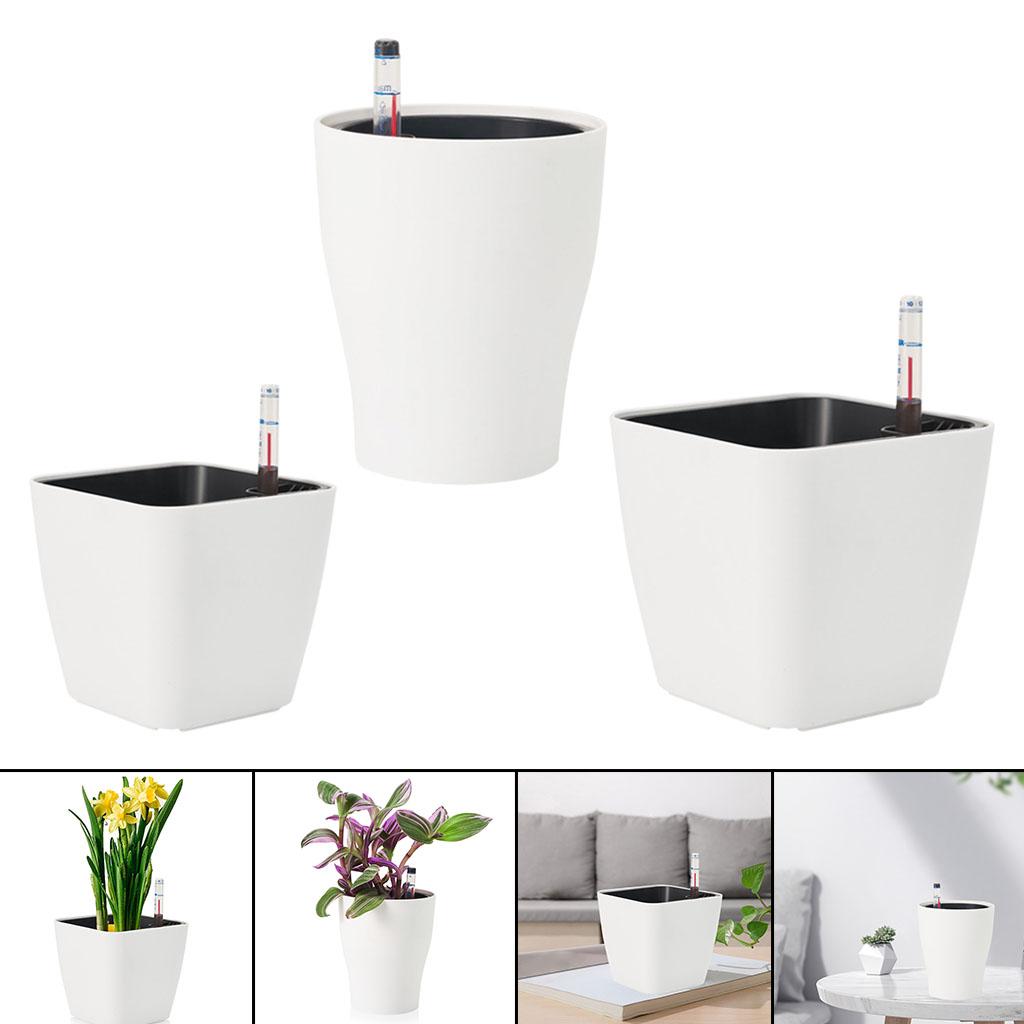 Self Watering Flower Pots Whit – Self Watering Insert recenzja i cena