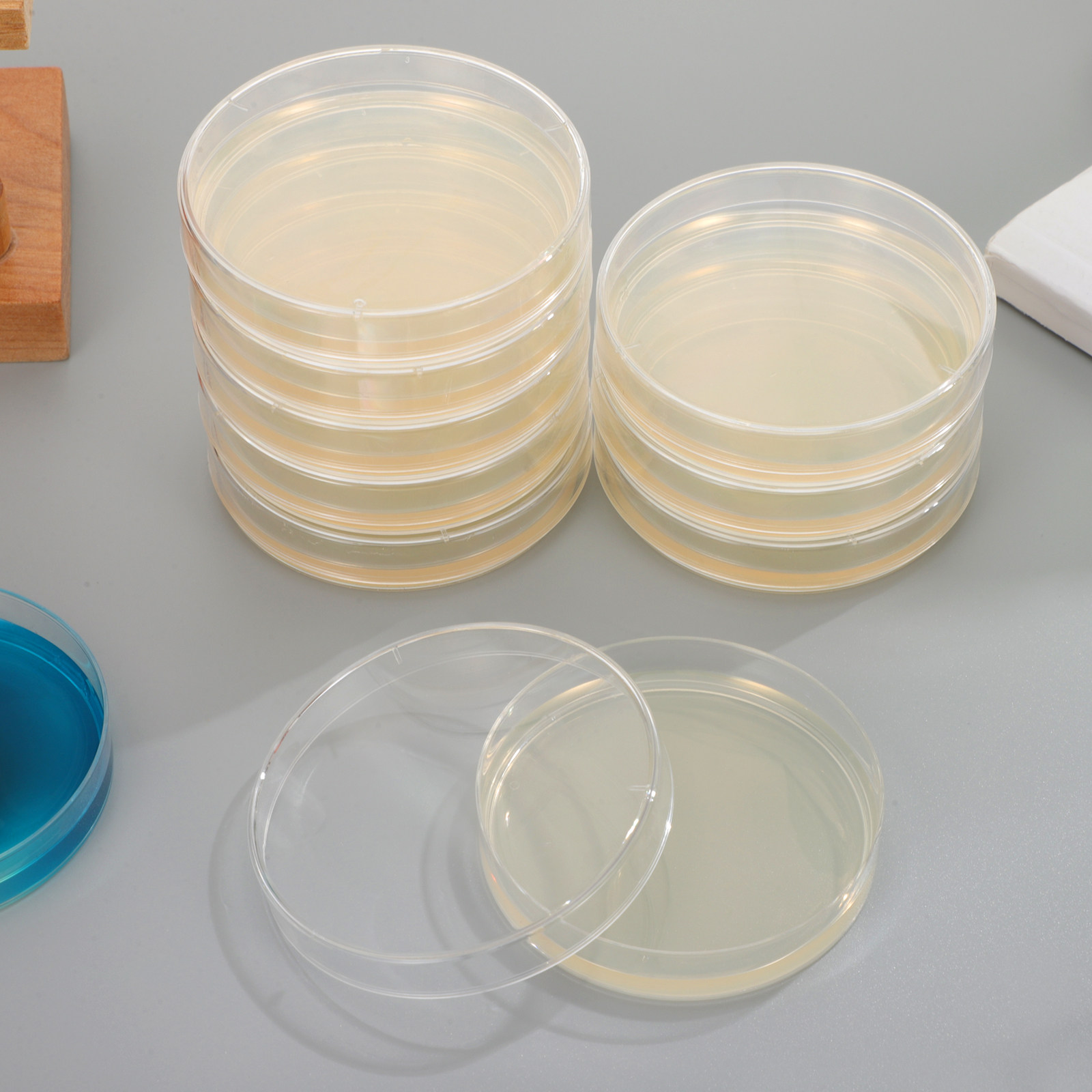 20Pcs Pre-Poured Nutrient Agar – Agar Tissue Culture recenzja i cena