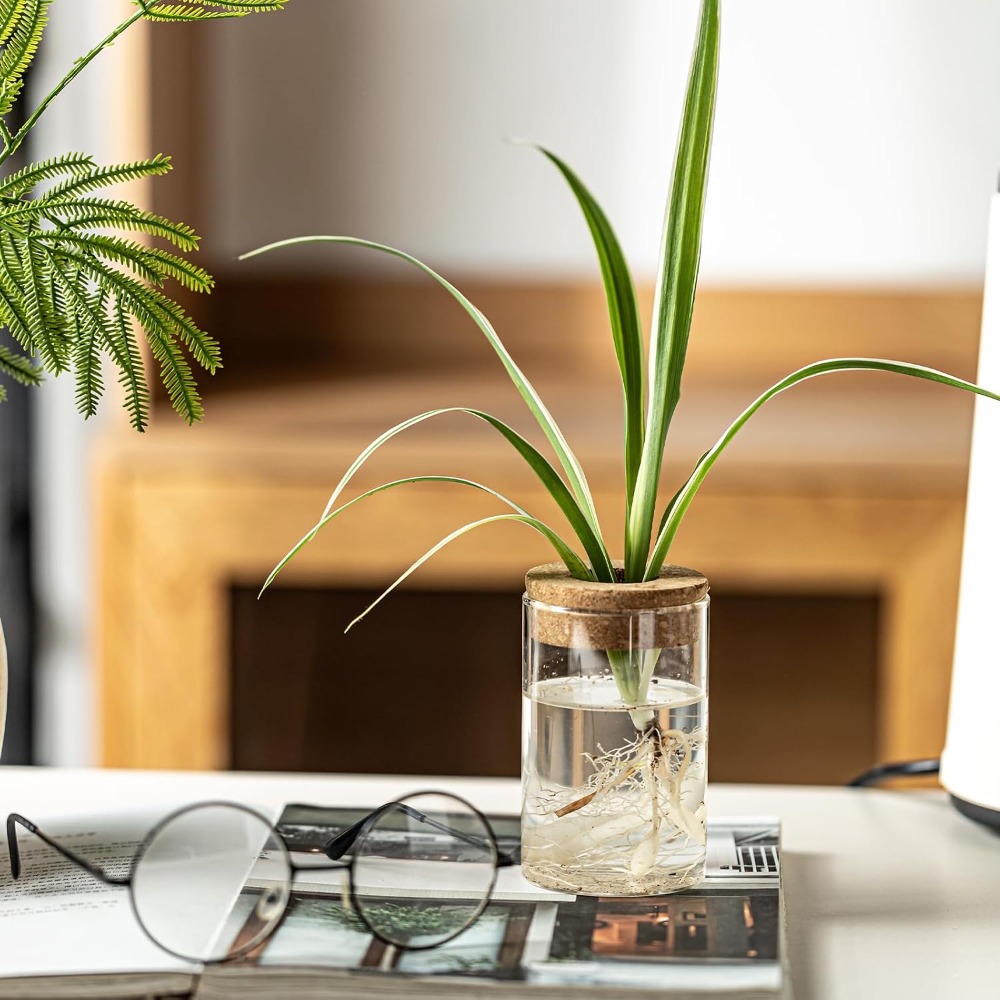 Desktop Glass Flower Vases - I – Propagation Station Vase recenzja i cena