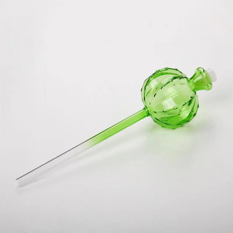 Creative Glass Plant Flowers W – Self Watering Insert recenzja i cena