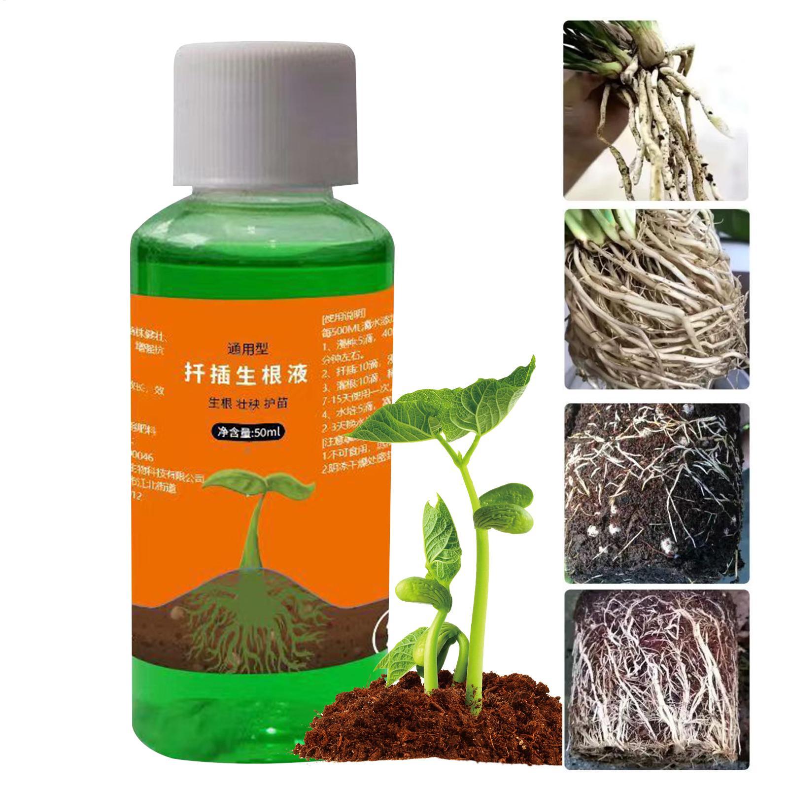 High-Efficiency Root Stimulato – Root Stimulator Liquid recenzja i cena