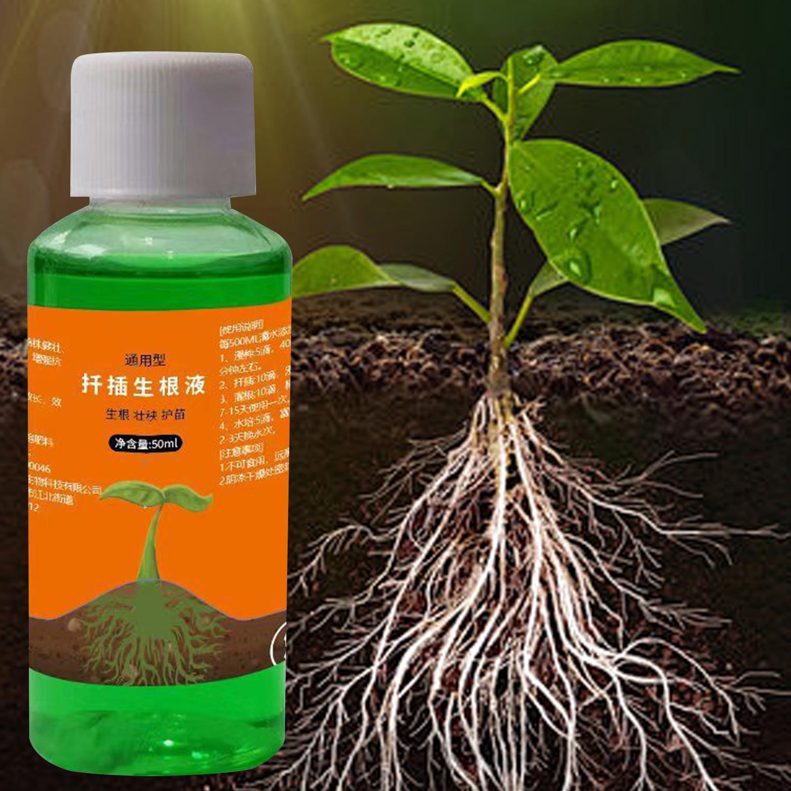 High-Efficiency Root Stimulato – Root Stimulator Liquid recenzja i cena
