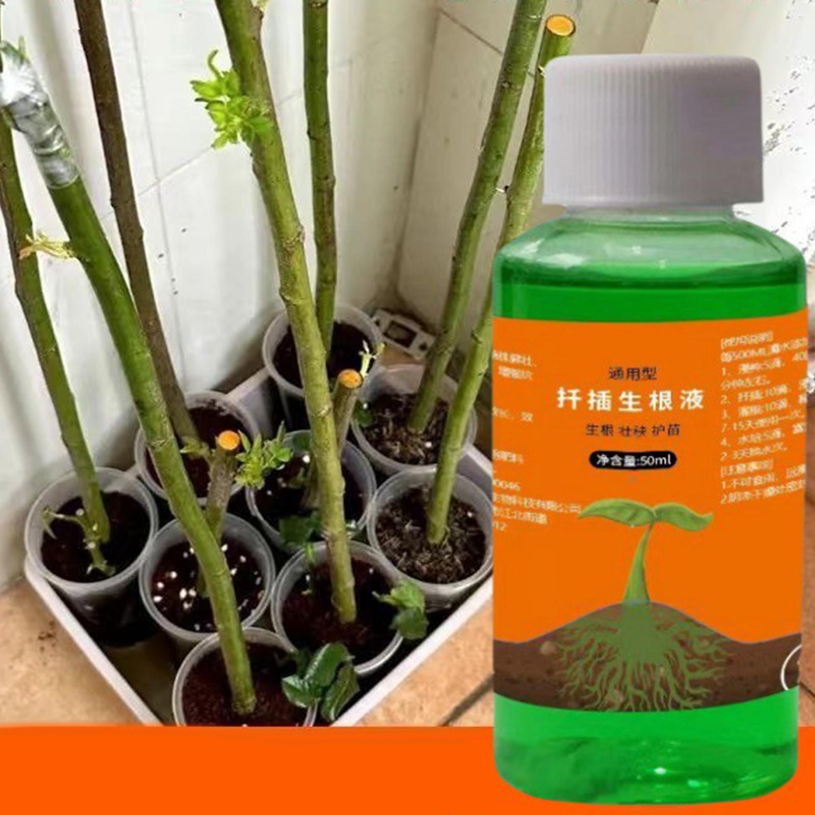 High-Efficiency Root Stimulato – Root Stimulator Liquid recenzja i cena