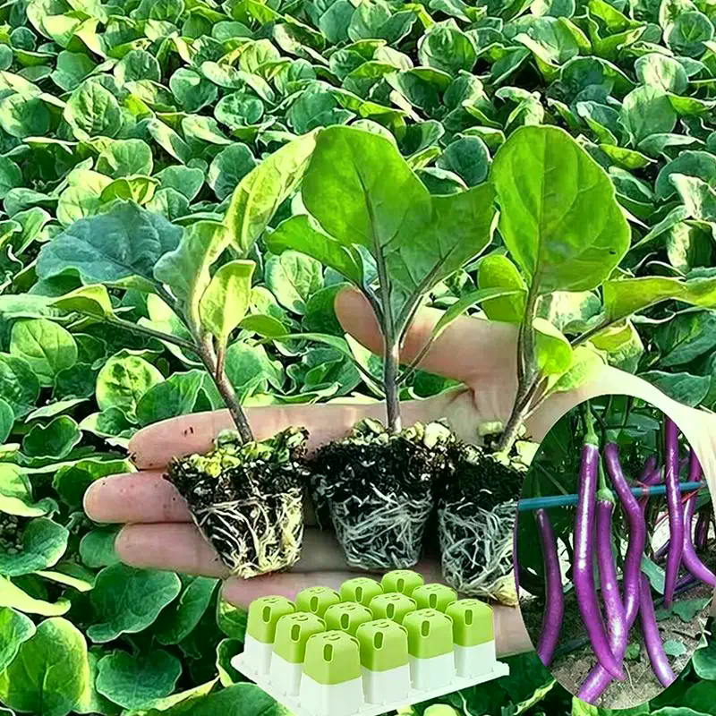Seed Starter Tray With Humidit – Humidity Dome Kit recenzja i cena