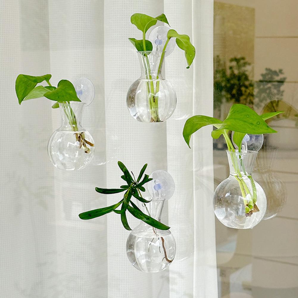 1/2/3/4/6/8Pcs Plant Propagati – Propagation Station Vase recenzja i cena