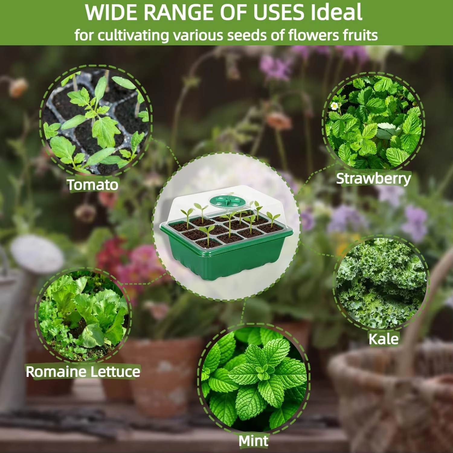 3Pcs Seed Starter Tray Mini Gr – Humidity Dome Kit recenzja i cena