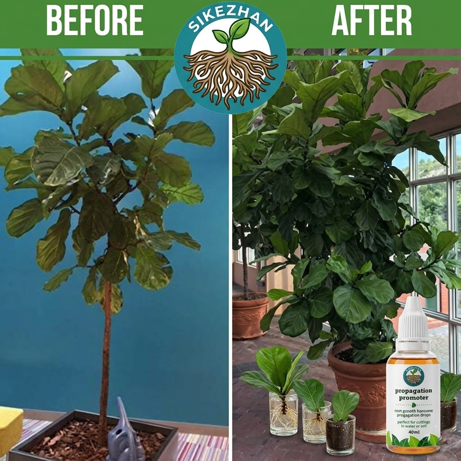 40ml Fast Plant Rooting Liquid – Root Stimulator Liquid recenzja i cena