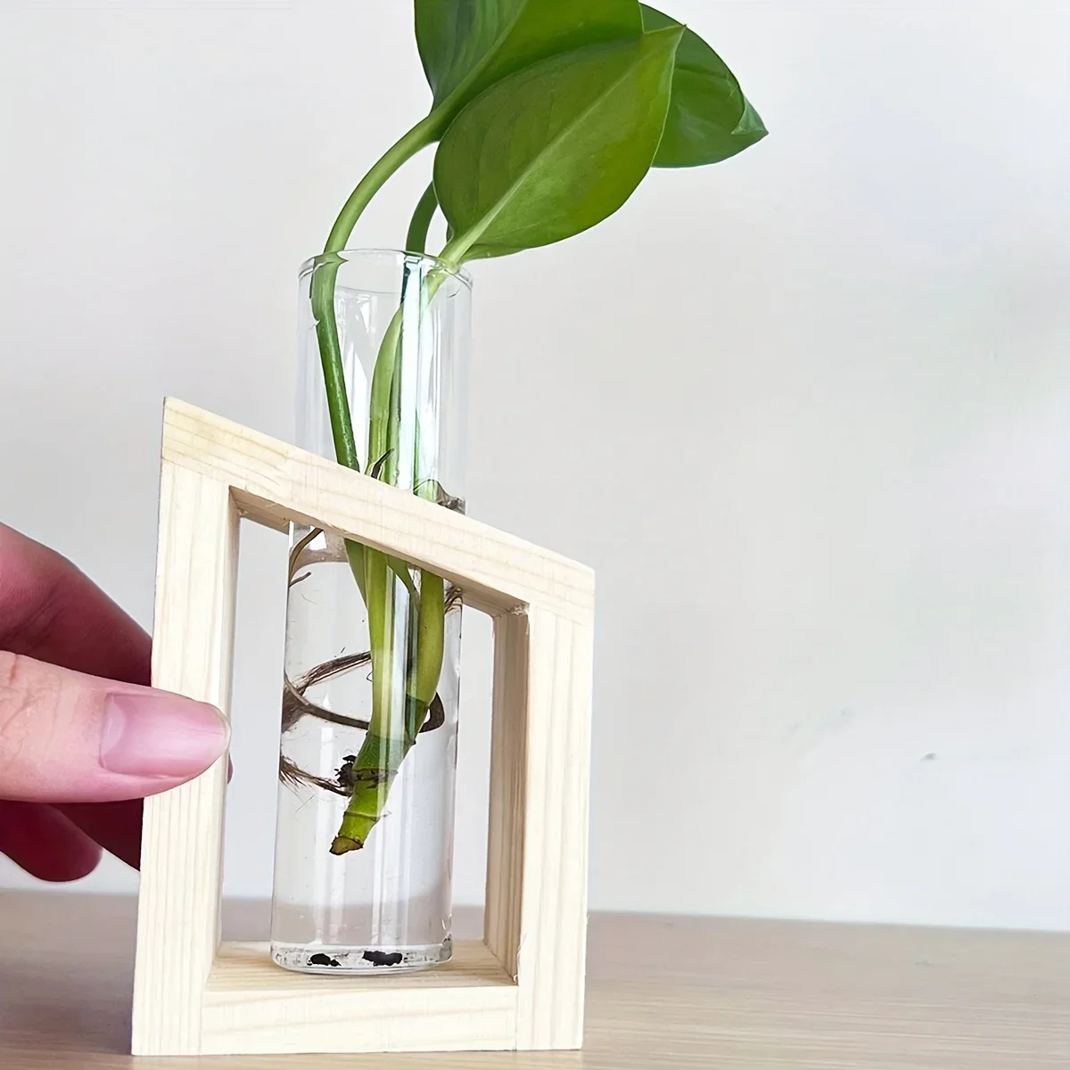 Test Tube Glass Vase Plant Pro – Propagation Station Vase recenzja i cena