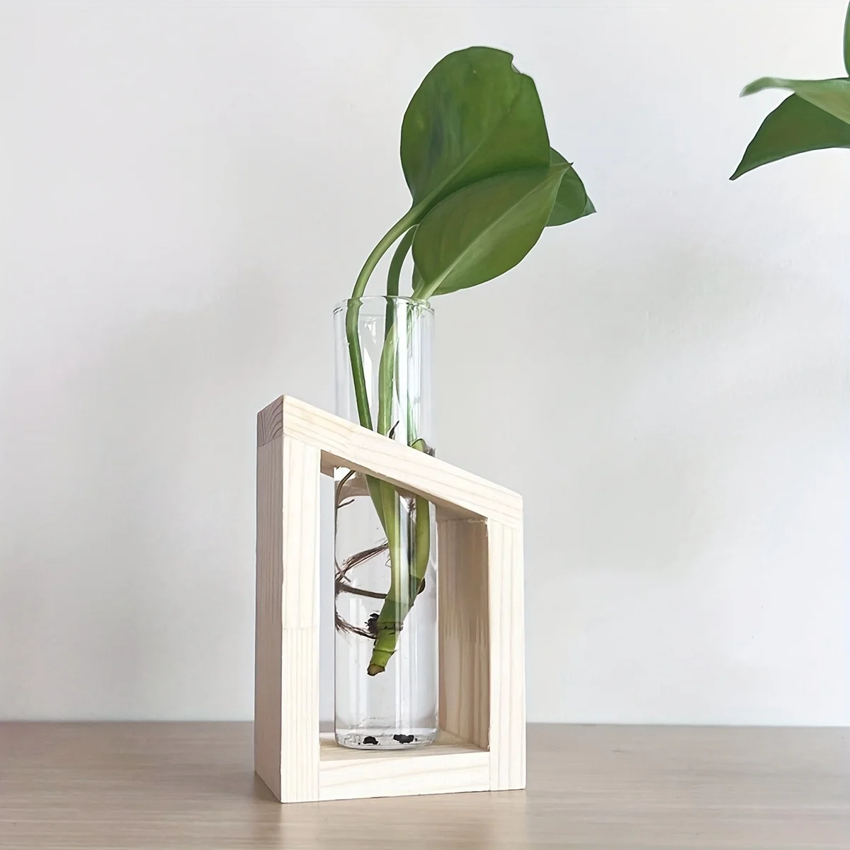 Test Tube Glass Vase Plant Pro – Propagation Station Vase recenzja i cena