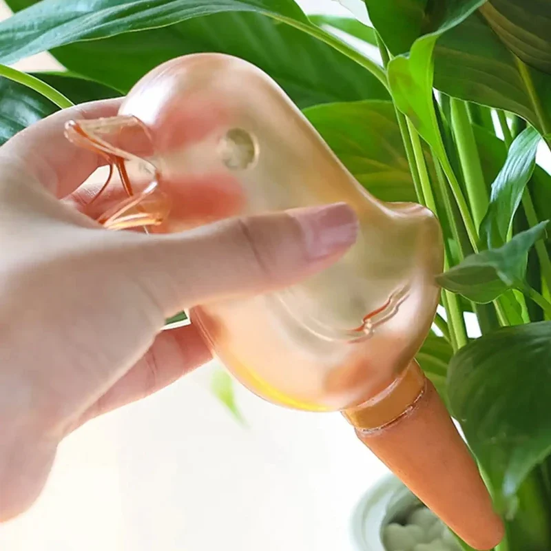 High quality automatic flower  – Self Watering Insert recenzja i cena