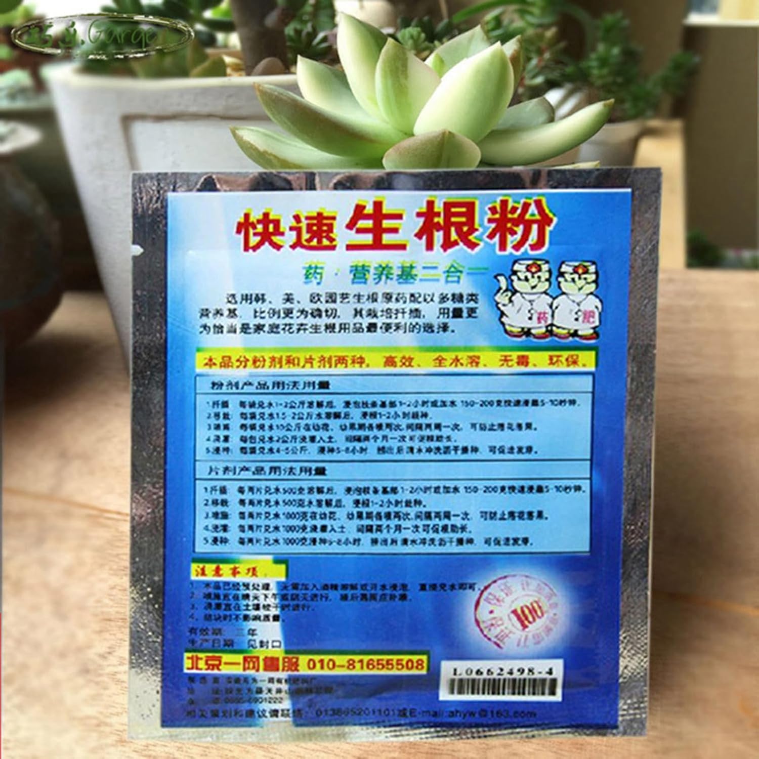 10 Bag 10g Rooting Powder for  – Rooting Hormone Powder recenzja i cena
