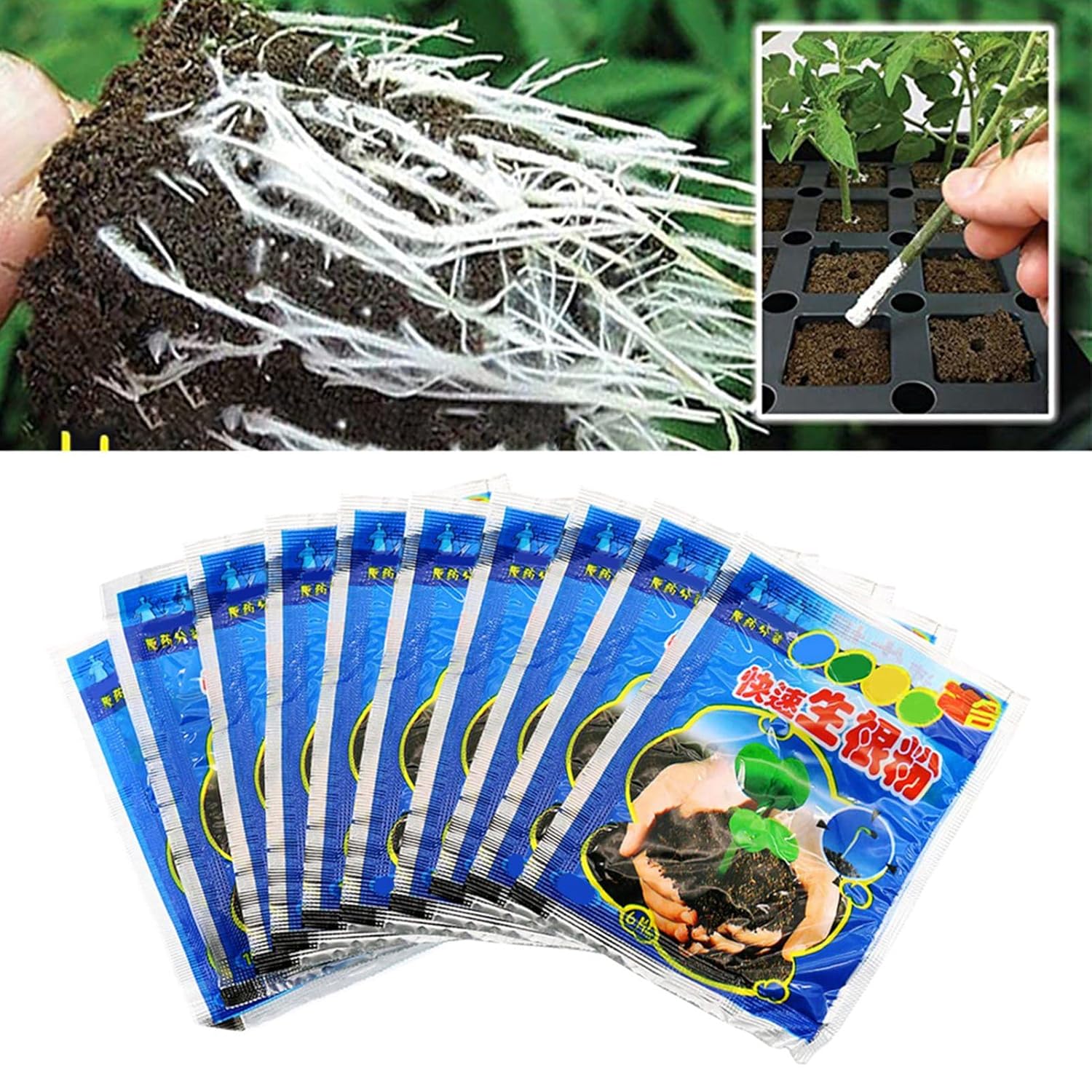 10 Bag 10g Rooting Powder for  – Rooting Hormone Powder recenzja i cena