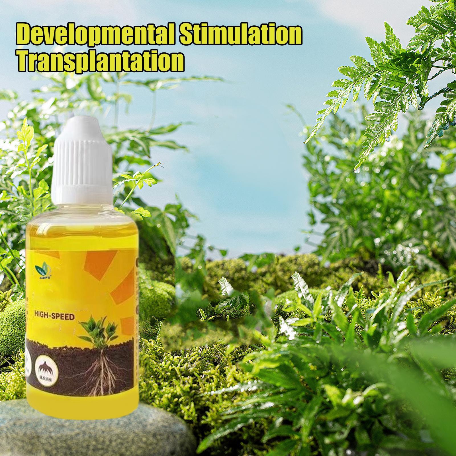 Fast Potting Rooting Plant Nut – Root Stimulator Liquid recenzja i cena