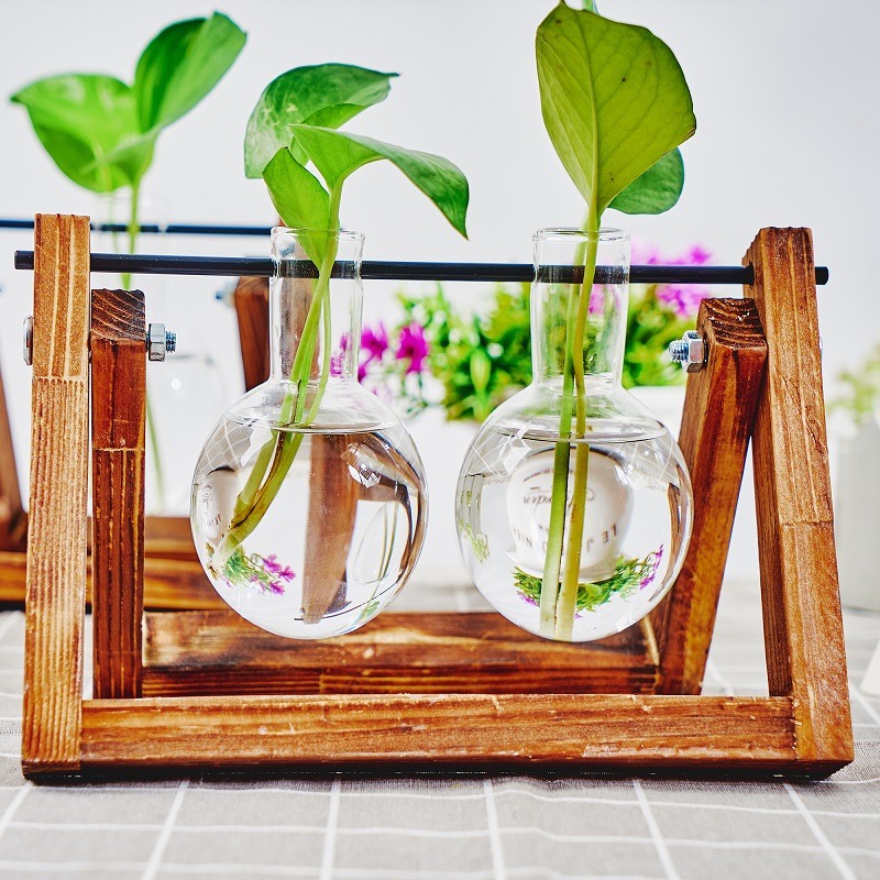 Tabletop Glass Planter Propaga – Propagation Station Vase recenzja i cena